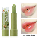 Women Avocado Lipstick Long Lasting Moisturizing Repair Makeup Care Y4P2
