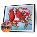 5D DIY Full Round Drill Diamond Painting Birds Women Needlework Set Home Deco