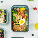 Silicone Lunch Box Folding Microwave Bento Food Storage Container (L) Newly