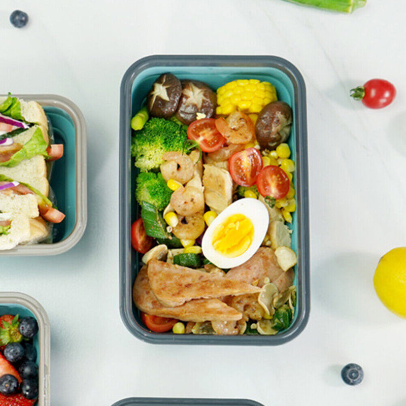 Silicone Lunch Box Folding Microwave Bento Food Storage Container (L) Newly