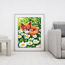 Oil Paint by Numbers Cute Fox Canvas Artwork Living Room Picture DIY Decoration