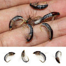 6Pcs