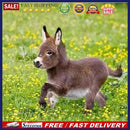 5D DIY Diamond Painting Embroidery Donkey Full Round Drill Rhinestones Craf