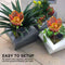 Metal Flowers Solar Lights, Outdoor Stake Art Light, for Yard, Lawn, Courtyard