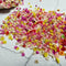Small Star Dried Flower Head Daizy DIY Nail Art Filling Decor Hand Craft I6A1