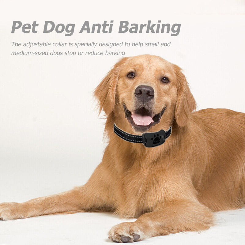 #A USB Charging Pet Anti Barking Device Ultrasonic Dogs Training Barkproof Colla