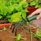 4pcs Garden Tools Set Trowel Rake Shovel Heavy Duty k Ergonomic X1V8 Metal S7S7