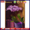 Corner Butterfly Orchid Oil Paint By Numbers DIY Frameless Drawing Picture Cr