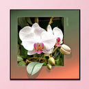 Diamond Painting 5D DIY flower Round Drill Rhinestone Picture(B3320) Newly