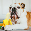 Simulation Fruit Banana Dog Chew Trainer Cute Kitten Puppies Interactive Games