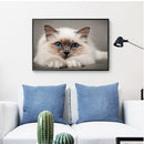 Drill Point Handicraft 5D Burmese Cat Full Drill Diamond Painting for Wall Gift