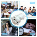 Simulation Soft Dogs Squeeze Ball Puzzle Anti Stress Artifact (White Dog) Newly