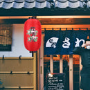 10inch Spray Painting Lantern Cloth Hanging Decorative for Pub Festival (D)