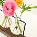 Office Ornaments Flower Arrangement Hydroponic Vase Plant Flower Pot Glass Vase