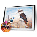 5D DIY Full Drill Diamond Painting Bird Animal Cross Stitch Embroidery (1) Newly