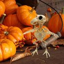 Crazy Bone Skeleton Raven Plastic Animal Skeleton Bones Horror Halloween Decor`