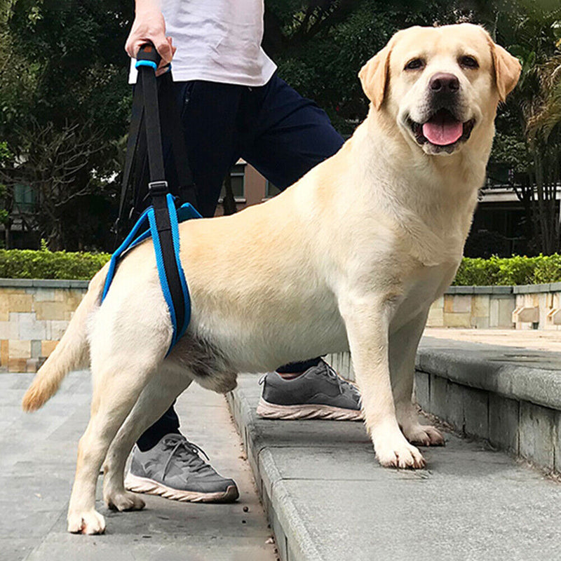 Dog Lift Harness for Back Legs Pet Support Sling Help Weak Legs Stand Up Be