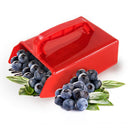 Berry Picker Blueberry Rake Scoop w/ Metallic Comb Garden Tool for Picking Berry