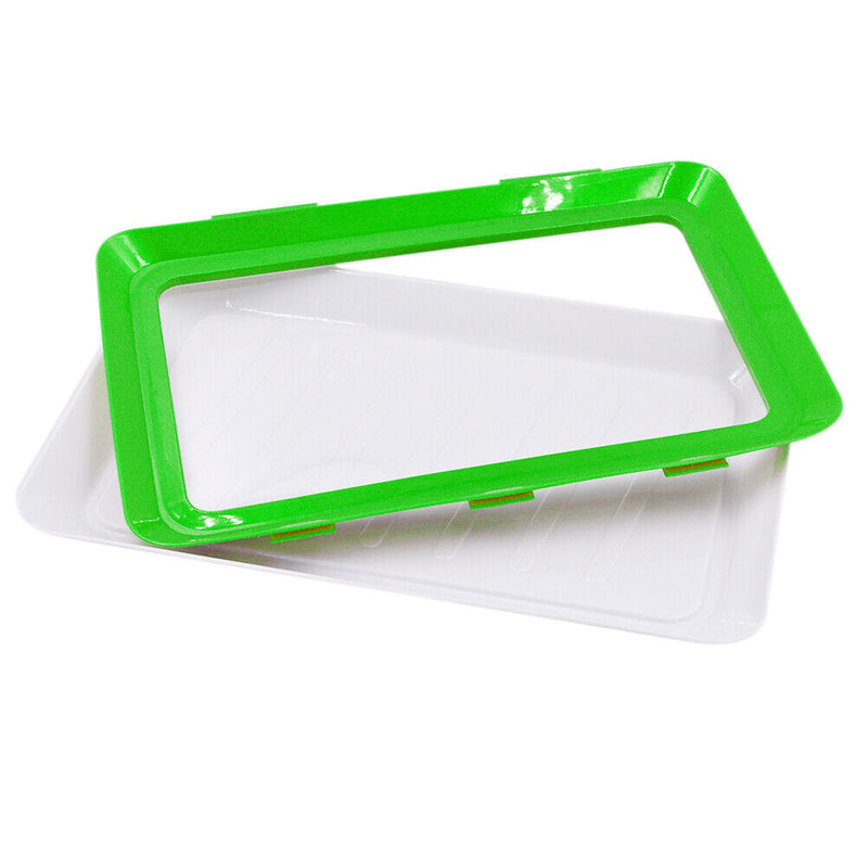 Food Preservation Tray Plastic Food Fresh Storage Plates Container (Green) Newly