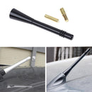 Universal Aluminum Car Roof Radio Antenna Bee Sting Screw AM FM Aerial (1)