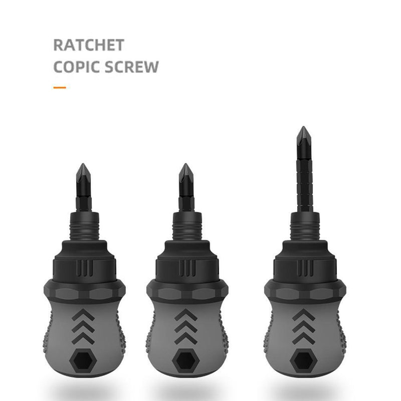 Ratcheting Double-Head Screwdriver Phillips Slotted 2 in 1 Mini Accessory