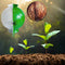 #A 5pcs Plant Root Ball Incubator Gardening Equipment Seedlings for Trees Grow T