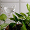 Transparent Bird Travel Flower Waterer Bulb Car Drip Irrigation Device (B)