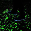 Garden Landscaping Luminous Stone Super Bright Artificial Horticultural V1H7