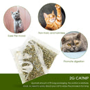 2g Catnip Bag for Cats, PE Bag Package, Replacement Catnip Herb for Catmint