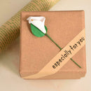 1x Square Jewellery Gift Box Necklace Ring Bracelet Hot 2021 Gift Chain P8D1