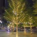 LED Fairy String Light IP65 Outdoor Solar Lamp Garden Decor (22m Warm) Newly