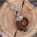 Fossil Stone Pendant Tiger Eye Stone Beads Cabochon Conch Shell Stone Pendant