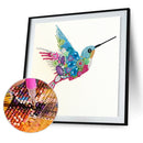 Diamond Painting DIY Hummingbird Partial Special Shape Drill Mosaic (KA357)