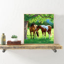 Handmade Full Square Drill 5D Horse on Prairie Drawing Kit DIY Diamond Painting
