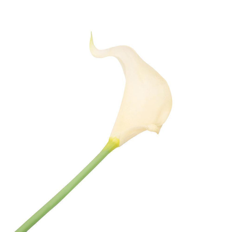 Weiß künstliche Calla-Lilie blüht Blumenstrauß Garden Q7U7 Mode W9U5 C6C9 K1S4