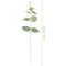 Eucalyptus Stems Floral Arrangement Lifelike Greenery Leaves Faux Plants