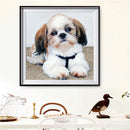 5D DIY Diamond Painting Cute Puppy Full Drill Rhinestone Mosaic Art Picture