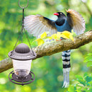 Hummingbird Feeder Foldable Hanging Bird Feeder Tray Garden Decor (Grey)