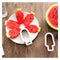 Stainless Steel Creative Ice-lolly Shape Watermelon Cutter Spoon Mode Pink