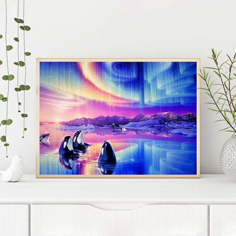 Whale in Aurora Oil Paint By Numbers Kits Canvas Picture Wall Art DIY Craft Gift