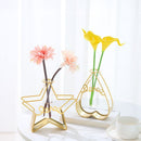 Triangle Rectangle Pentagram Heart Iron Art Hydroponic Vase Glass Test Tube