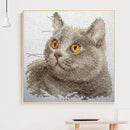 Partial Embroidery Stamped Cat DIY Cross Stitch Kits 11CT Needlework Sets Gift