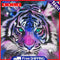 Bedroom Canvas Picture Mosaic Full Round Craft Tiger Animal Diamond Painting