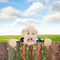 Garden Illustration Fence Decoration Wood Old Man/Lady Yard Art Sign (A) Newly