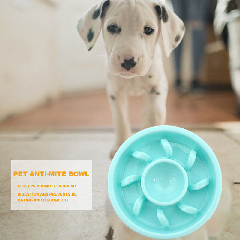 Dog Feeding Bowls Slow Eating Feeder Dish Plastic Pet Anti Choking Food Pla
