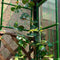12pcs Tomatoes Vegetables Fruits Plants Climbing Brackets Connecting Rod Newly