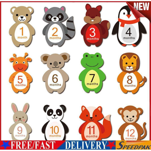 12pcs/Set Baby Photo Milestone Card Newborn Monthly Stickers (TZ-DW1-YF) #F