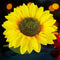 Sunflower LED Solar Light Outdoor Garden Courtyard Pathway Lawn Stakes Lamp