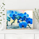 5D Diamond Painting Flower Full Round Drill DIY Wall Crafts Home Decoration K