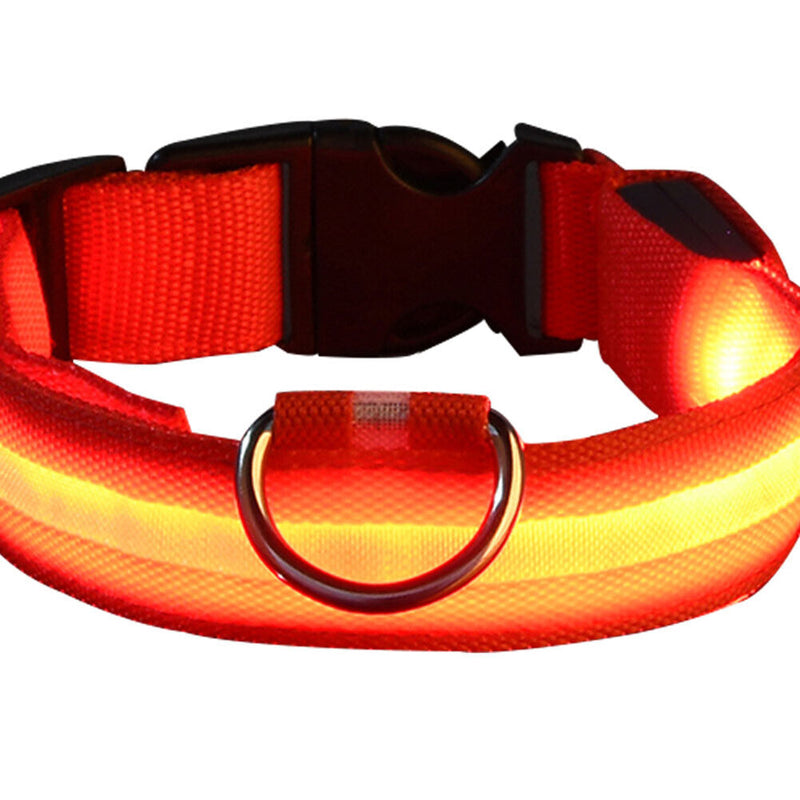Dog Cat Luminous Necklace Large Medium Small Dogs Anti Lost Harness Accessori